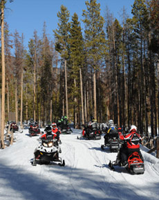 Friends snowmobiling along trail